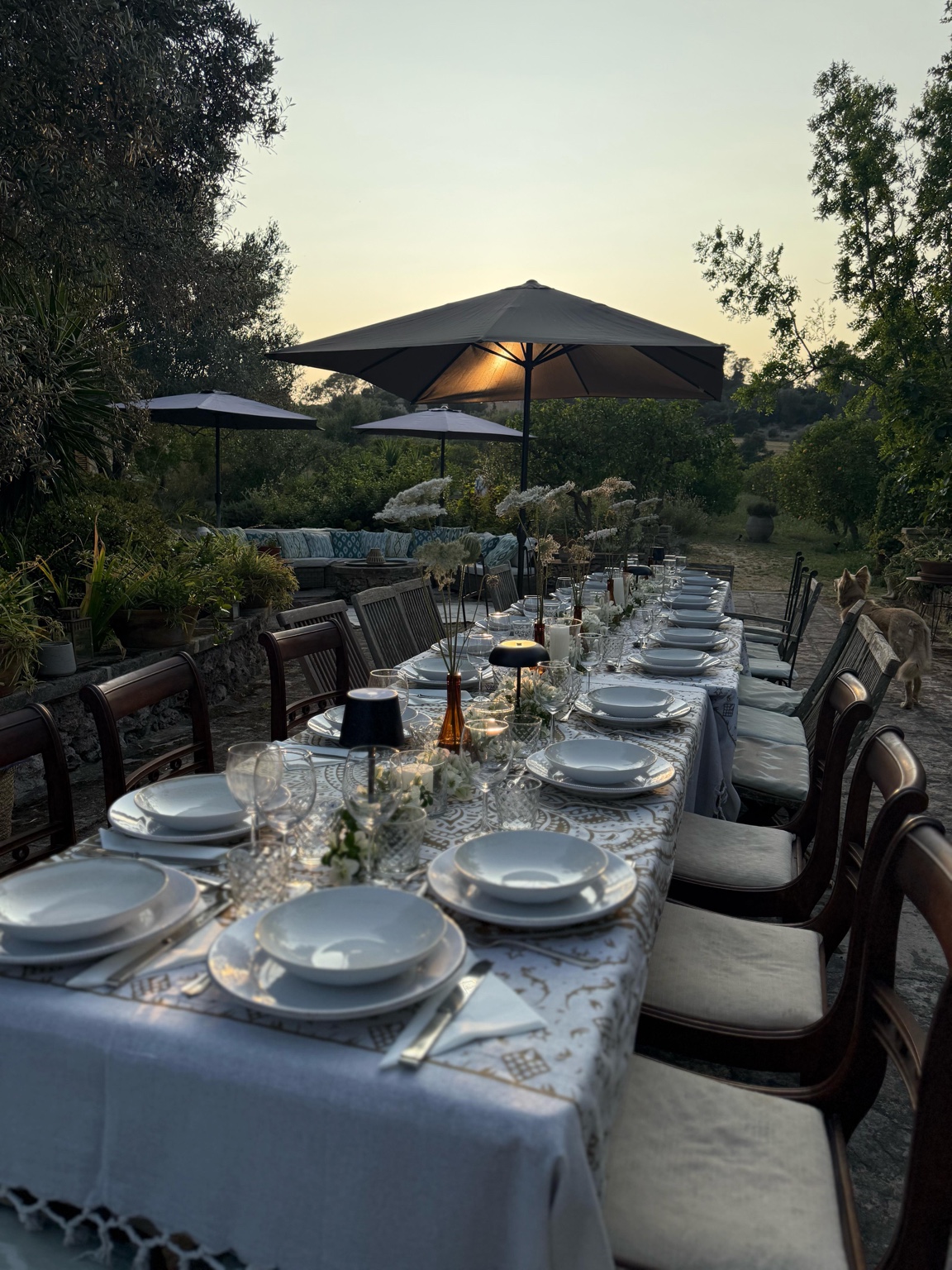 Elegant outdoor dinner table at sunset